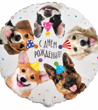 Собачки фотографичные 
